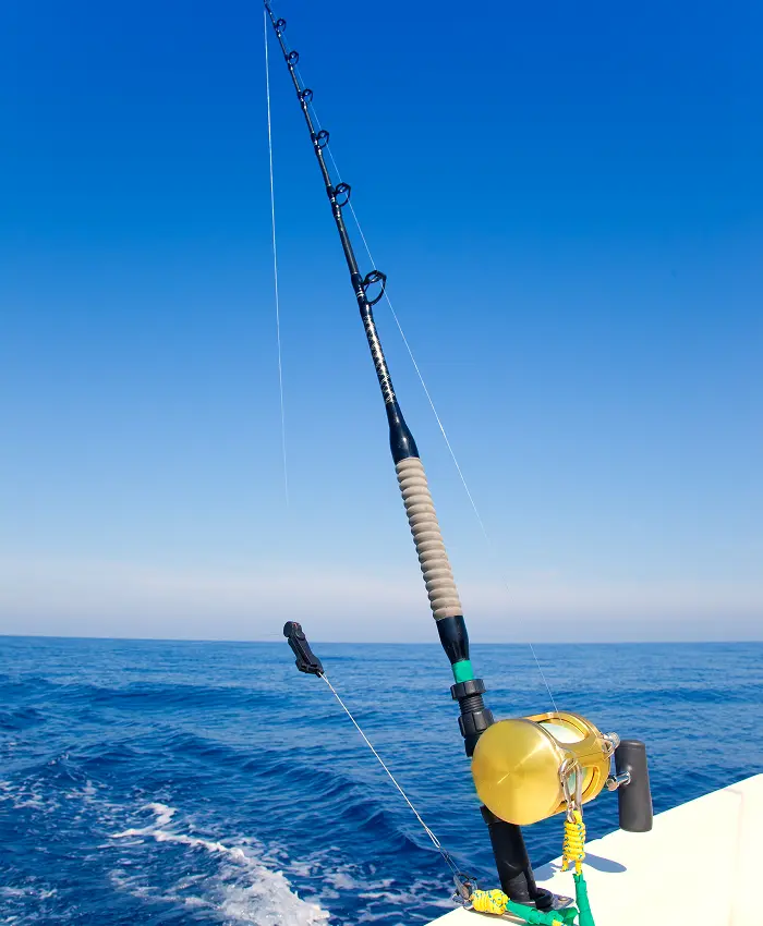 Fishing rod over the ocean