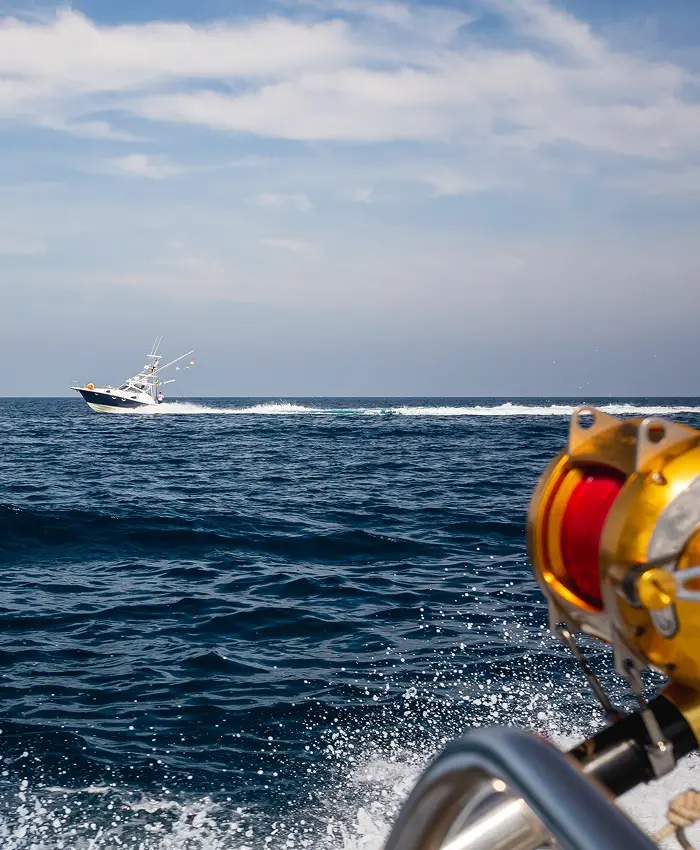 Fishing rod over the ocean during a sea trip
